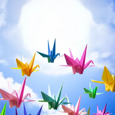 Illustration flown - Image 1