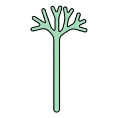 Illustration rhabdomes - Image 1