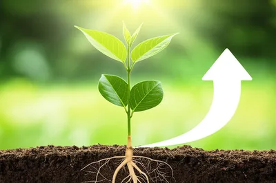 Illustration forced - Image 1