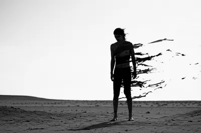 Illustration despoil - Image 1