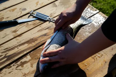 Illustration cleaning - Image 1