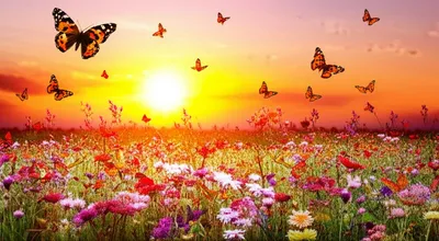 Illustration heavens - Image 1