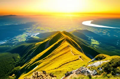 Illustration crown - Image 1