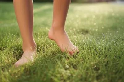 Illustration pad - Image 1