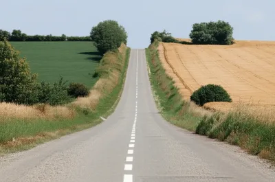 Illustration shortening - Image 1