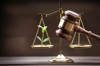 Illustration proceeds - Image 1