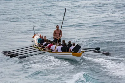 Illustration sweep - Image 1