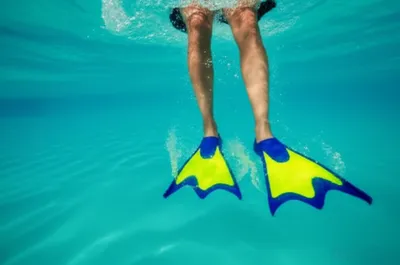 Illustration fins - Image 1