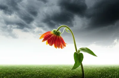 Illustration mood - Image 1