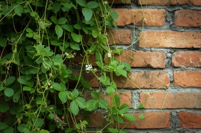 Illustration running - Image 1