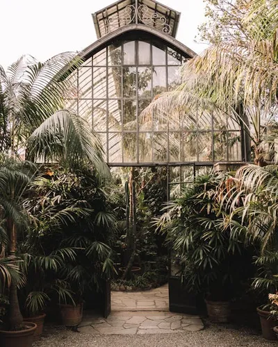 Illustration entranced - Image 2