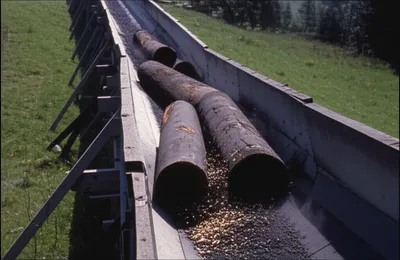 Illustration shoots - Image 1