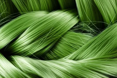 Illustration tuft - Image 1