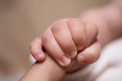 Illustration newest - Image 1