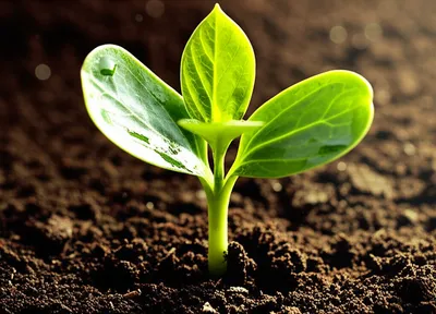 Illustration nourish - Image 1