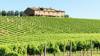 Illustration realer - Image 1