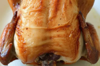 Illustration oyster - Image 1