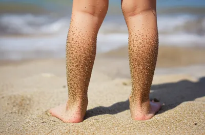 Illustration sandy - Image 1