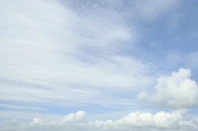 Illustration carry - Image 1