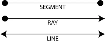 Illustration ray - Image 2