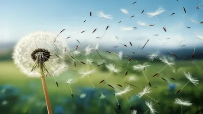 Illustration dispersing - Image 1