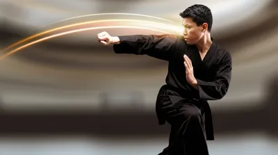 Illustration parries - Image 1