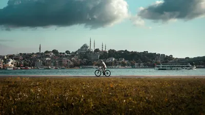 Illustration estuaries - Image 2