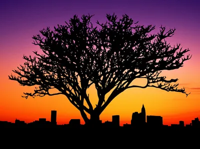 Illustration silhouette - Image 1