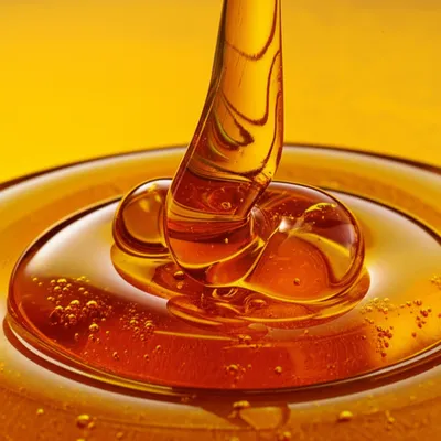 Illustration thick - Image 1