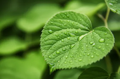 Illustration moister - Image 1