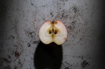 Illustration seedy - Image 1