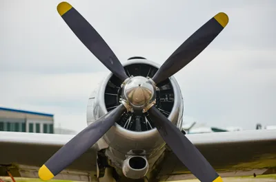 Illustration spinners - Image 1