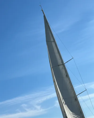 Illustration pea - Image 1