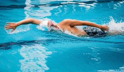 Illustration crawls - Image 1