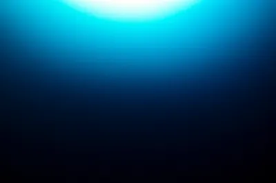 Illustration deepened - Image 1