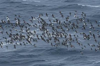 Illustration crews - Image 1