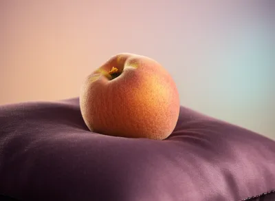 Illustration softest - Image 1