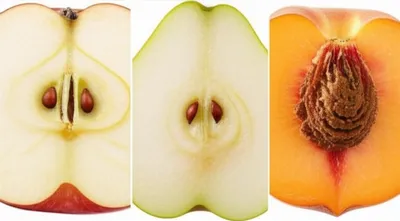 Illustration cores - Image 1