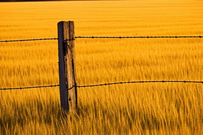 Illustration ter - Image 1