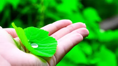 Illustration taste - Image 1