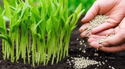 Illustration enriching - Image 1