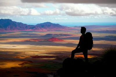 Illustration traveller - Image 1