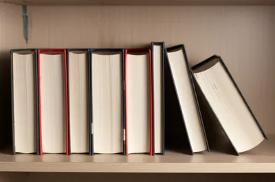 Illustration oblique - Image 1