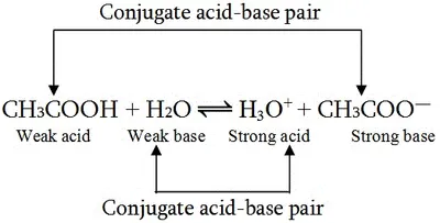 Illustration conjugate - Image 2
