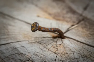 Illustration stub - Image 1