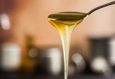 Illustration viscid - Image 1