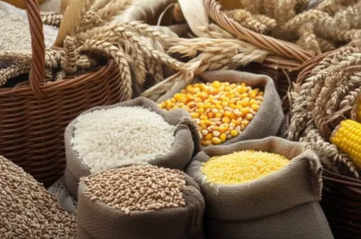 Illustration victual - Image 1