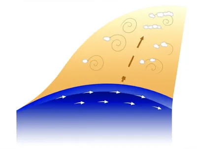 Illustration occluded - Image 1