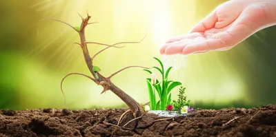 Illustration recreate - Image 1