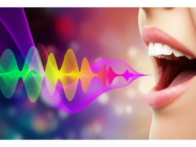 Illustration vocals - Image 1